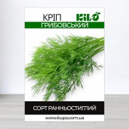 Семена укропа Грибовский, 100г